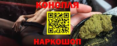 jwh Бийск