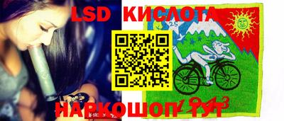 jwh Бийск