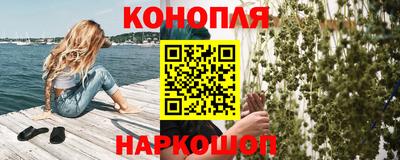 jwh Бийск