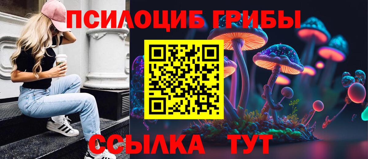 Псилоцибиновые грибы MAGIC MUSHROOMS  Вход с VPN  Керчь 